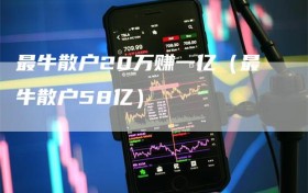 最牛散户20万赚一亿（最牛散户58亿）