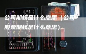 公司期权是什么意思（公司股票期权是什么意思）