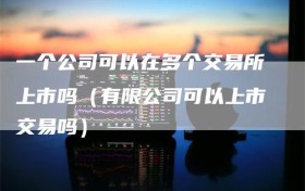 一个公司可以在多个交易所上市吗（有限公司可以上市交易吗）