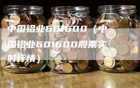 中国铝业601600（中国铝业601600股票实时行情）