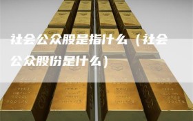 社会公众股是指什么（社会公众股份是什么）