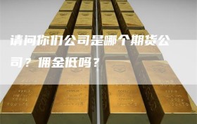 请问你们公司是哪个期货公司？佣金低吗？