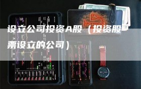 设立公司投资A股（投资股票设立的公司）