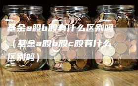 基金a股b股有什么区别吗（基金a股b股c股有什么区别吗）