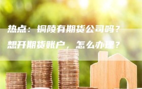 热点：铜陵有期货公司吗？想开期货账户，怎么办理？