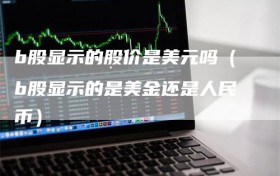 b股显示的股价是美元吗（b股显示的是美金还是人民币）