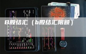 B股结汇（b股结汇限额）