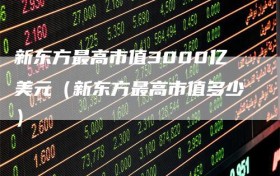 新东方最高市值3000亿美元（新东方最高市值多少）