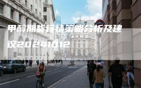 甲醇期货行情策略分析及建议20241012