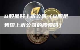 B股最好上市公司（B股是我国上市公司的股票吗）