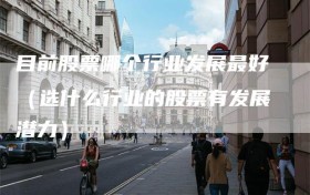 目前股票哪个行业发展最好（选什么行业的股票有发展潜力）