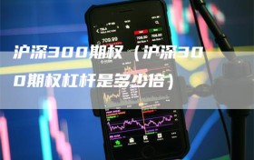 沪深300期权（沪深300期权杠杆是多少倍）