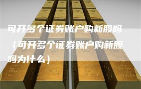 可开多个证券账户购新股吗（可开多个证券账户购新股吗为什么）