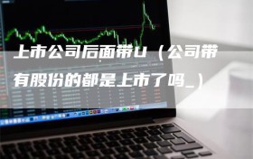 上市公司后面带U（公司带有股份的都是上市了吗_）