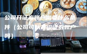 公司开证券账户需要什么条件（公司可以开设证券账户吗）