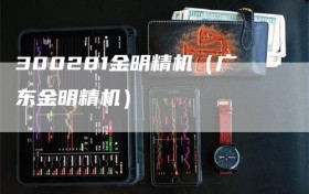 300281金明精机（广东金明精机）