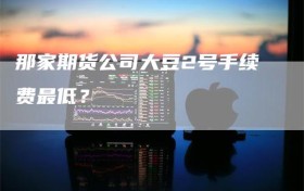 那家期货公司大豆2号手续费最低？