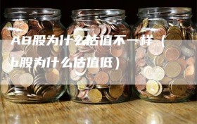 AB股为什么估值不一样（b股为什么估值低）