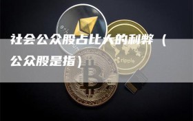 社会公众股占比大的利弊（公众股是指）