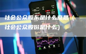 社会公众股东是什么意思（社会公众股份是什么）