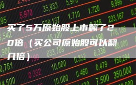 买了5万原始股上市翻了20倍（买公司原始股可以翻几倍）