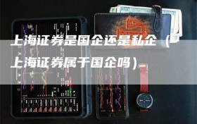 上海证券是国企还是私企（上海证券属于国企吗）