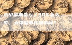 炒甲醇期货亏了30%怎么办，大神能带我回本吗？