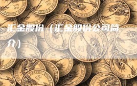 汇金股份（汇金股份公司简介）