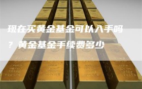 现在买黄金基金可以入手吗？黄金基金手续费多少