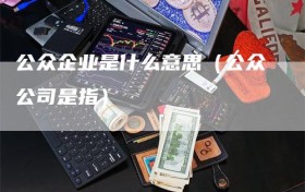 公众企业是什么意思（公众公司是指）