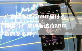 广发纳斯达克100是什么类型（广发纳斯达克100指数怎么样）