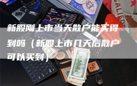 新股刚上市当天散户能买得到吗（新股上市几天后散户可以买到）