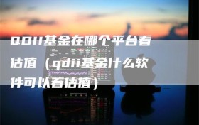 QDII基金在哪个平台看估值（qdii基金什么软件可以看估值）