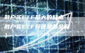 散户买ETF最大的缺点（散户买ETF好还是基金好）