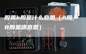 股票b股是什么意思（A股B股是啥意思）