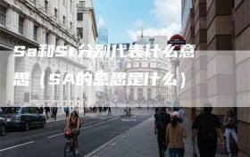 Sa和St分别代表什么意思（SA的意思是什么）