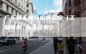 广东省工业母机类企业（工业母机 龙头企业）