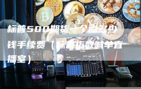 标普500期货一个点多少钱手续费（标普指数喊单直播室）