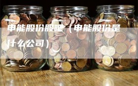 申能股份股吧（申能股份是什么公司）