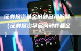 证券投资基金份额名词解释（证券投资学名词解释基金）