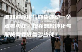 谁知道液化气期货波动一个点多少钱？现在想做液化气期货需要准备多少钱？