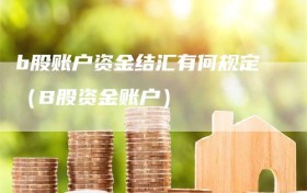 b股账户资金结汇有何规定（B股资金账户）