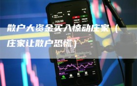 散户大资金买入惊动庄家（庄家让散户恐慌）