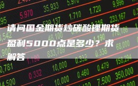 请问国金期货炒碳酸锂期货盈利5000点是多少？求解答