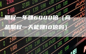 期权一年赚6000倍（商品期权一天能赚10倍吗）