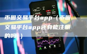 币圈交易平台app（币圈交易平台app还有能注册的吗_）