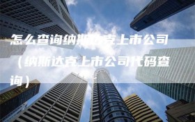 怎么查询纳斯达克上市公司（纳斯达克上市公司代码查询）