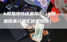 b股是现钞还是现汇（b股是以美元现汇还是现钞）