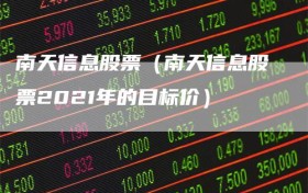 南天信息股票（南天信息股票2021年的目标价）