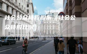 社会公众持股股东（社会公众持股比例）